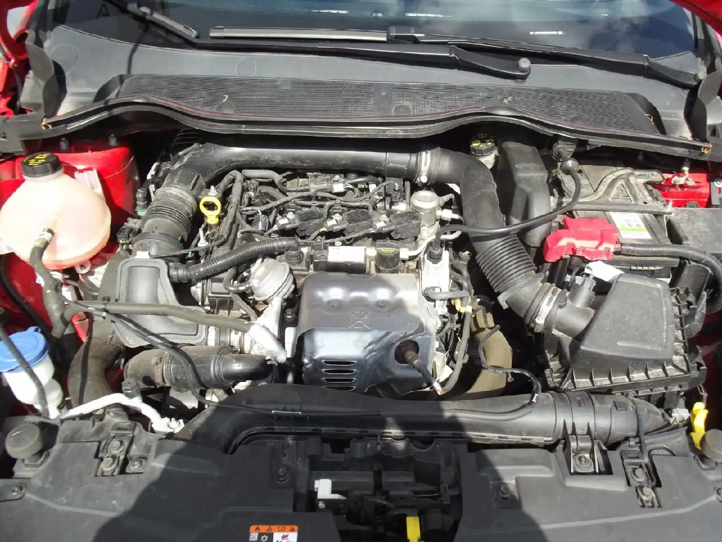 Ford Fiesta ST-Line Rot - 2