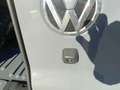 Volkswagen T6.1 Transporter Transporter 2.0 tdi 110 cv Business Gris - thumbnail 14