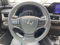 Lexus UX 250h 135 kW / 184 CV - thumbnail 26