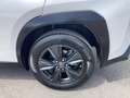 Lexus UX 250h 135 kW / 184 CV - thumbnail 14