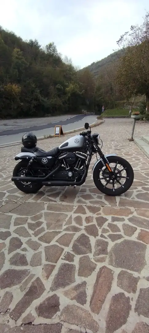 Harley-Davidson Iron 883 ultimissimo modello prodotto Gri - 1