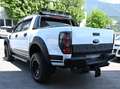 Ford Ranger Wildtrak Doppelkabine 4x4 | Umbau 20.000€ | Top Weiß - thumbnail 6
