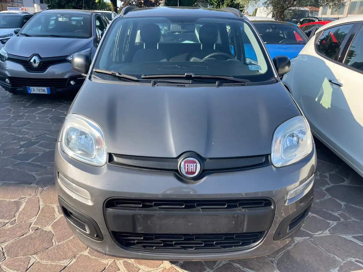 Fiat Panda Panda 1.2 Easy 69cv GPL NEOPATENTATI GARANZIA Grigio - 2