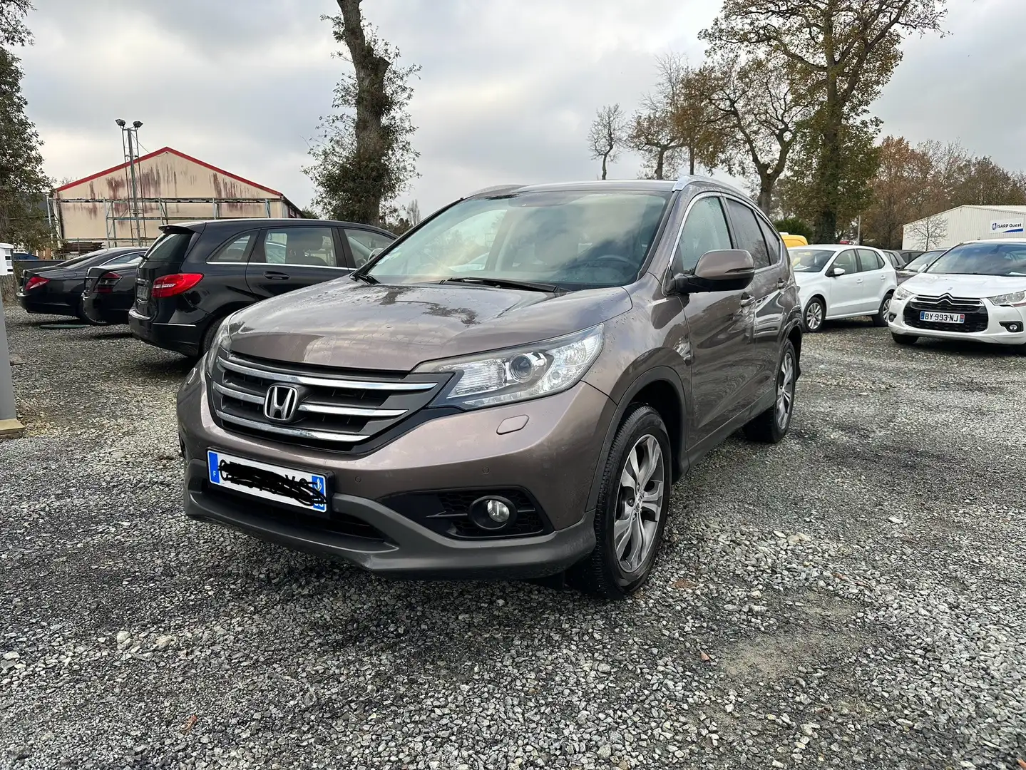 Honda CR-V 1.6  i-DTEC 2WD Executive Navi Фиолетовый - 1