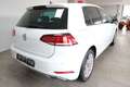 Volkswagen Golf VII 1.5 TSI IQ.DRIVE Weiß - thumbnail 3