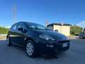 Fiat Punto Punto 5p 1.2 Lounge E6 Bleu - thumbnail 11