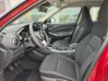 Nissan Juke JUKE Acenta+ 1.0 DIG-T 114 PS 6MT Rot - thumbnail 8