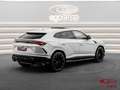 Lamborghini Urus 4.0 V8 Aut. Blanco - thumbnail 7