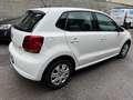 Volkswagen Polo 1.2 TDI 75CV Comfort*NEOPATENTATI*CLIMA Weiß - thumbnail 4