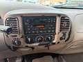 Ford F 150 F 150 / BENZINA GPL Gold - thumbnail 16