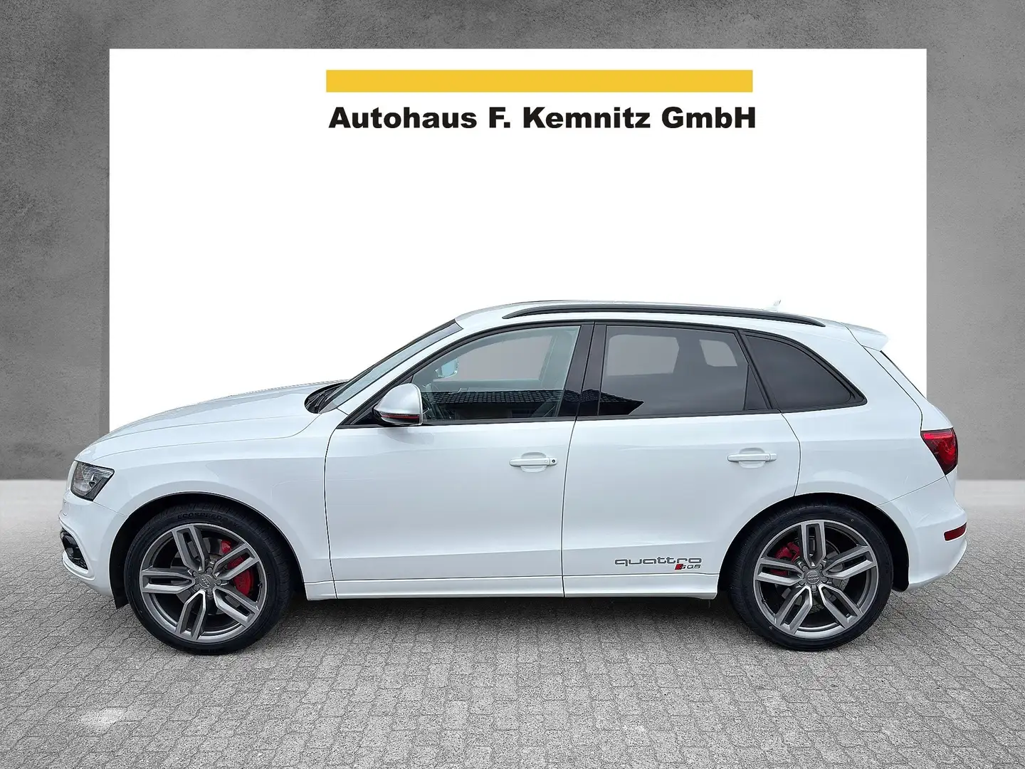 Audi SQ5 3.0 TDI quattro / Xenon / Navi / Kamera Weiß - 1