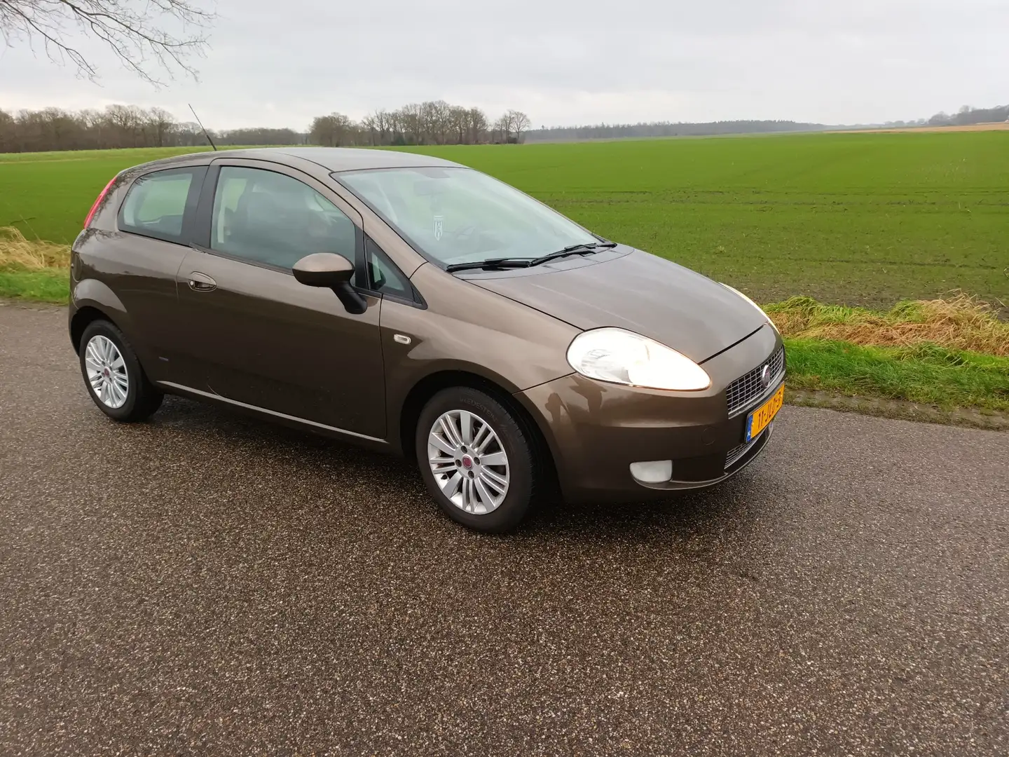 Fiat Punto 1.4 Edizione Lusso Bruin - 1