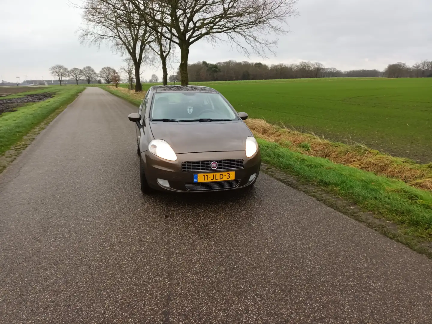 Fiat Punto 1.4 Edizione Lusso Bruin - 2