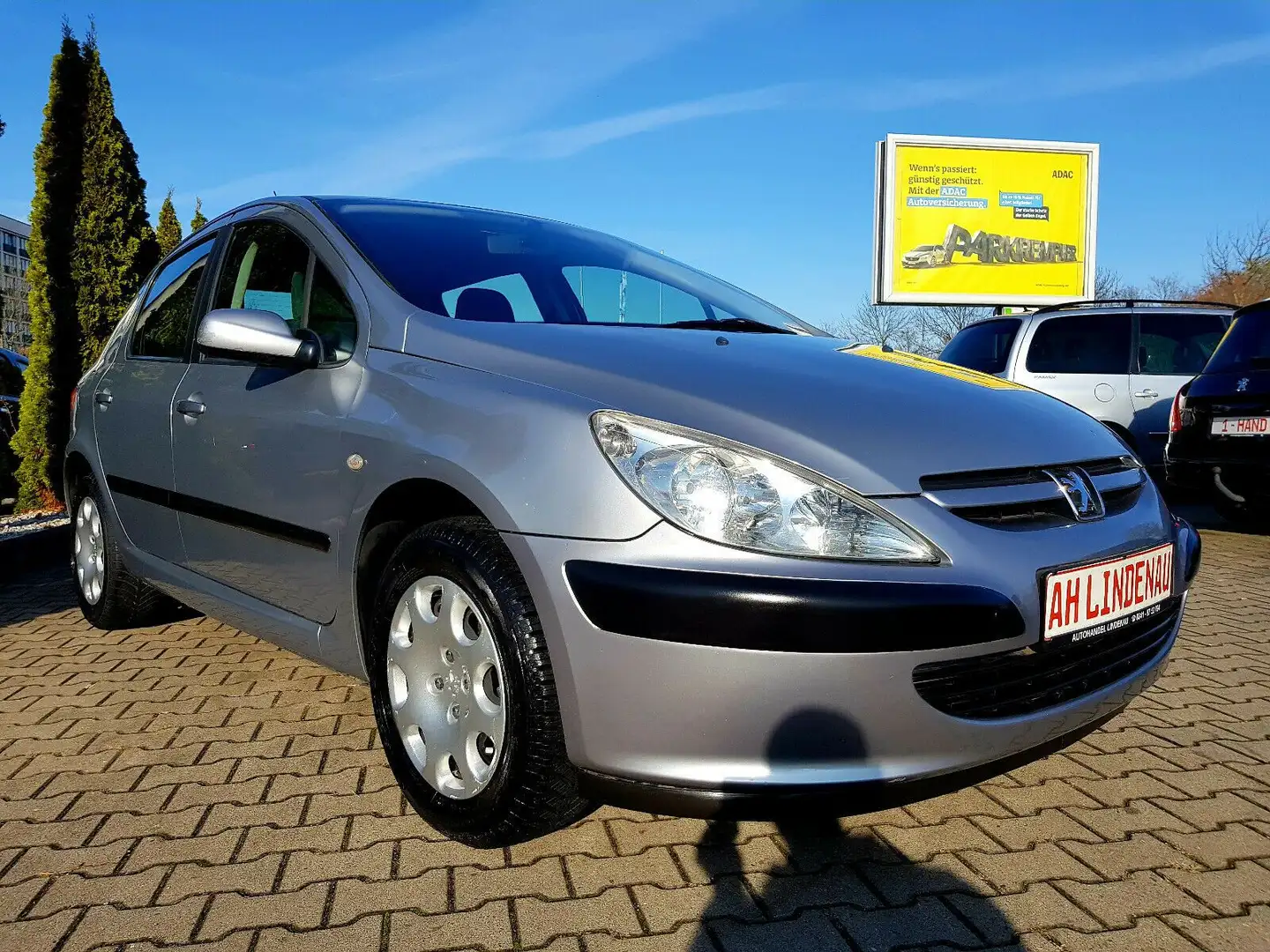 Peugeot 307 Gri - 2
