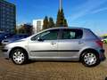 Peugeot 307 Gri - thumbnail 3