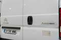 Citroen Jumper bluehdi 103kw (140cv) furgón 35l2 Blanco - thumbnail 6