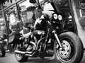 Harley-Davidson Fat Bob 103 ***MOTO VERTE*** Noir - thumbnail 5