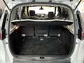 Renault Scenic 2.0 Dci 150 Privilège BVA Blanc - thumbnail 36
