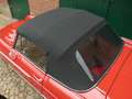 Fiat 1200 granluce Trasformabile Cabriolet 1962 Rot - thumbnail 17