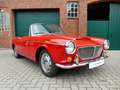 Fiat 1200 granluce Trasformabile Cabriolet 1962 Rot - thumbnail 24