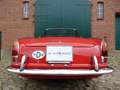 Fiat 1200 granluce Trasformabile Cabriolet 1962 Rot - thumbnail 11