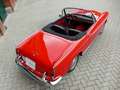Fiat 1200 granluce Trasformabile Cabriolet 1962 Rot - thumbnail 22