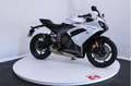 Triumph Daytona 600 - thumbnail 8