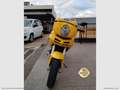 Ducati Multistrada 620 Multistrada 620 RATE AUTO MOTO SCOOTER Gelb - thumbnail 15