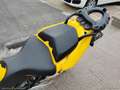 Ducati Multistrada 620 Multistrada 620 RATE AUTO MOTO SCOOTER Gelb - thumbnail 25