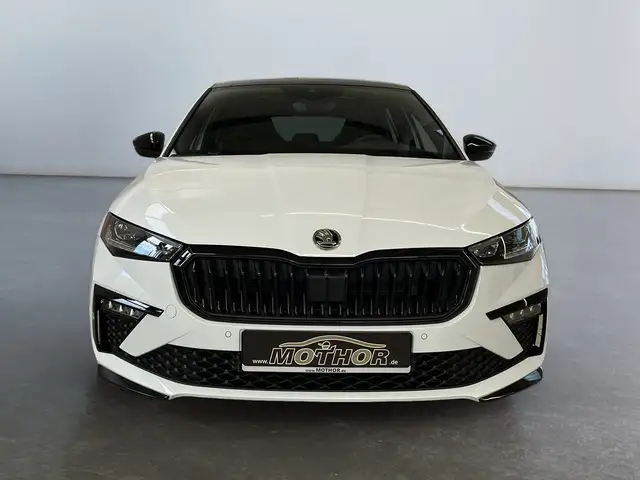 Skoda Scala view 6