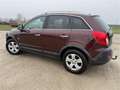 Opel Antara 2,0 CDTI Cosmo DPF Rot - thumbnail 21