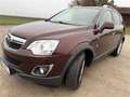 Opel Antara 2,0 CDTI Cosmo DPF Rot - thumbnail 1