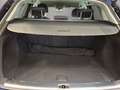 Audi Q5 SUV Advanced 35 TDI 120(163) kW(PS) S tronic Blau - thumbnail 19