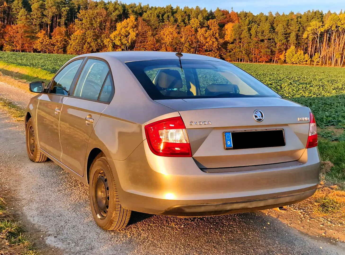 Skoda Rapid/Spaceback Rapid 1.2 TSI (Green tec) Ambition Bej - 2