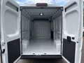 Toyota Proace Max Proace Max 35 2.2 BlueHDi 140CV L2H2 Furgone Blanco - thumbnail 8