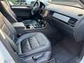 Volkswagen Touareg V6 TDI 4Mot R-Line Leder SHZ AHK Klimaa Weiß - thumbnail 12