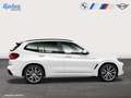 BMW X3 xDrive30i M Sport/Business Prof Paket/ParkAss Weiß - thumbnail 8
