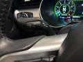 Ford Mustang V8 Bullitt NAVI LEDER"MAGNE RIDE" Grün - thumbnail 17