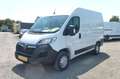 Opel Movano L1H2 Klima Standhzg Sitzhzg Temp  Kam AHK Blanco - thumbnail 1