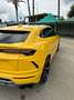 Lamborghini Urus Urus 4.0 V8 auto Giallo - thumbnail 4