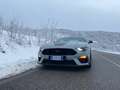 Ford Mustang Fastback 5.0 V8 Mach 1 460cv auto serie limitata Grigio - thumbnail 4
