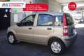 Fiat Panda FIAT Panda 1.2 Emotion Eco Unicoproprietario Grigio - thumbnail 14