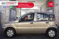 Fiat Panda FIAT Panda 1.2 Emotion Eco Unicoproprietario Grigio - thumbnail 4