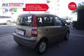 Fiat Panda FIAT Panda 1.2 Emotion Eco Unicoproprietario Grigio - thumbnail 12