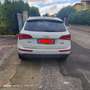 Audi Q5 2.0 tdi quattro 163cv s-tronic - thumbnail 2