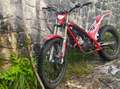 Gas Gas TXT 125 Pro Racing Rot - thumbnail 5