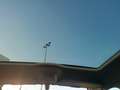 Citroen C4 G.Picasso 2.0BlueHDi S&S Feel Edition EAT6 Gris - thumbnail 21
