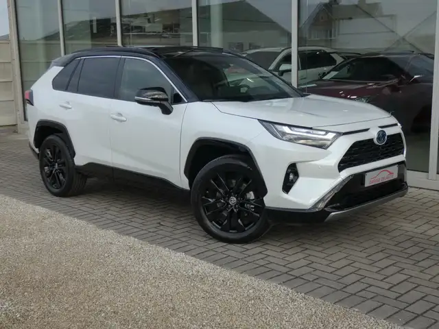 Toyota RAV 4 Hybrid *AWD 4X4* Pano/Open dak +Leder +360Camera
