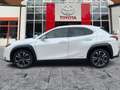 Lexus UX 250h Style Edition ACC*KAM*DAB*SHZ*LenkradHz Blanc - thumbnail 3