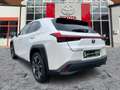 Lexus UX 250h Style Edition ACC*KAM*DAB*SHZ*LenkradHz Blanc - thumbnail 5